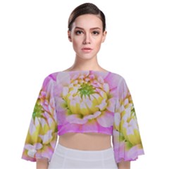 Pretty Pink, White And Yellow Cactus Dahlia Macro Tie Back Butterfly Sleeve Chiffon Top by myrubiogarden