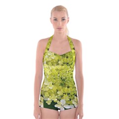 Elegant Chartreuse Green Limelight Hydrangea Macro Boyleg Halter Swimsuit  by myrubiogarden