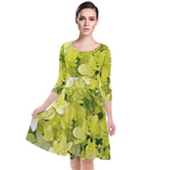 Elegant Chartreuse Green Limelight Hydrangea Macro Quarter Sleeve Waist Band Dress by myrubiogarden