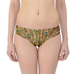 Peacock Feather Bird Peafowl Hipster Bikini Bottoms by Wegoenart