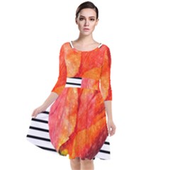 Red Tulip And Black Stripes Quarter Sleeve Waist Band Dress by picsaspassion