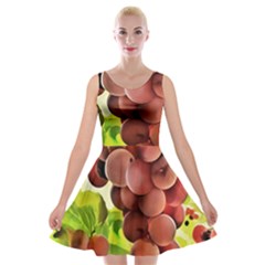 Grape Harvest Nature Figure Rustic Velvet Skater Dress by Wegoenart