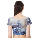Art Painting Sea Storm Seagull Short Sleeve Crop Top View2