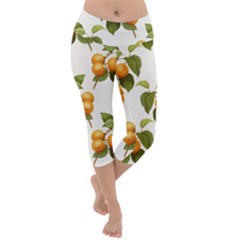 Apricot Fruit Vintage Art Lightweight Velour Capri Yoga Leggings by Pakrebo