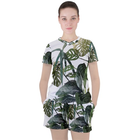 Botanical Illustration Palm Leaf Women s Tee And Shorts Set by Mariart