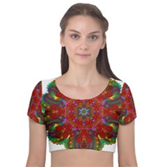Mandala Fractal Graphic Design Velvet Short Sleeve Crop Top  by Pakrebo