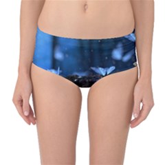 Butterflies Essence Mid-waist Bikini Bottoms by WensdaiAmbrose