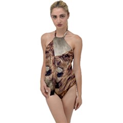 Roaring Lion Go With The Flow One Piece Swimsuit by Sudhe