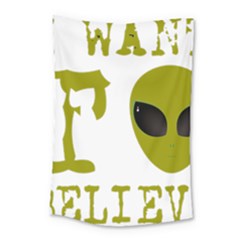 I Want To Believe Small Tapestry by Sudhe