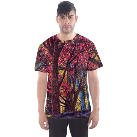 Autumn Colorful Nature Trees Men s Sports Mesh Tee by Sudhe