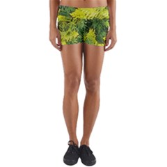 Garden Of The Phoenix Yoga Shorts by Riverwoman