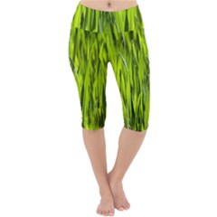 Agricultural Field   Lightweight Velour Cropped Yoga Leggings by rsooll