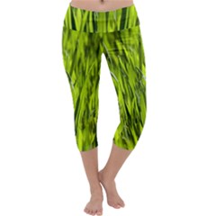 Agricultural Field   Capri Yoga Leggings by rsooll