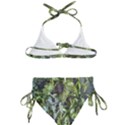 Living Wall Kids  Classic Bikini Set View2