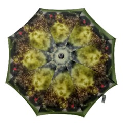 Columbus Crew Crowd, Mapfe Stadium Hook Handle Umbrellas (medium) by Riverwoman