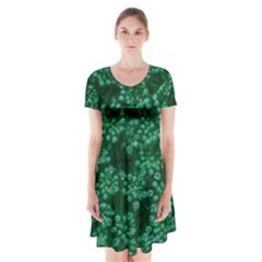 Green Queen Anne s Lace (up Close) Short Sleeve V-neck Flare Dress by okhismakingart