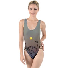 Moon And Thistle High Leg Strappy Swimsuit by okhismakingart
