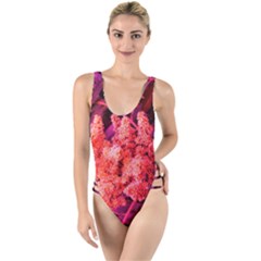 Pink Sideways Sumac High Leg Strappy Swimsuit by okhismakingart