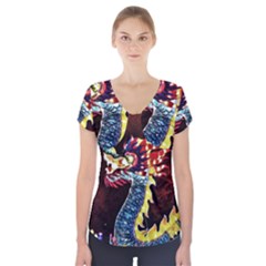 Dragon Lights Main Dragon Short Sleeve Front Detail Top by Riverwoman