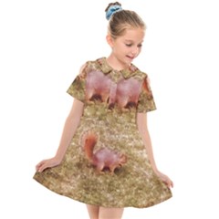 Squirrel Kids  Short Sleeve Shirt Dress by Riverwoman