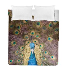 Bird Peacock Feather Duvet Cover Double Side (full/ Double Size) by HermanTelo