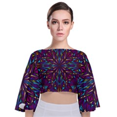 Kaleidoscope Triangle Curved Tie Back Butterfly Sleeve Chiffon Top by HermanTelo