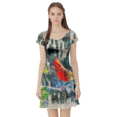 Texture Art Decoration Abstract Bird Nature Short Sleeve Skater Dress by Pakrebo
