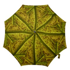 Leaf Structure Texture Background Hook Handle Umbrellas (medium) by Pakrebo