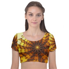 Background Colorful Graphic Design Velvet Short Sleeve Crop Top  by Pakrebo
