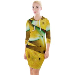 Sliced Watermelon Lot Quarter Sleeve Hood Bodycon Dress by Pakrebo