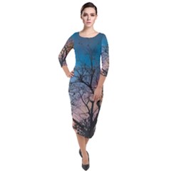 Low Angle Photography Of Bare Tree Quarter Sleeve Midi Velour Bodycon Dress by Pakrebo