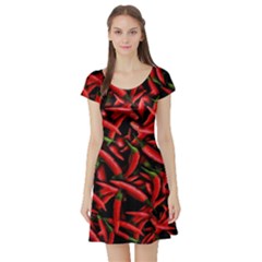 Red Chili Peppers Pattern  Short Sleeve Skater Dress by bloomingvinedesign