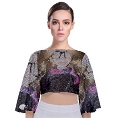 Cat Ears Doll Stained Glass Tie Back Butterfly Sleeve Chiffon Top by snowwhitegirl