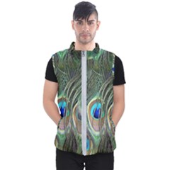 Peacock Feathers Peacock Bird Men s Puffer Vest by Wegoenart