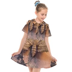 Night Moth Kids  Short Sleeve Shirt Dress by Riverwoman