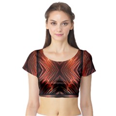 Img 20161211 112940 Short Sleeve Crop Top by gunnsphotoartplus