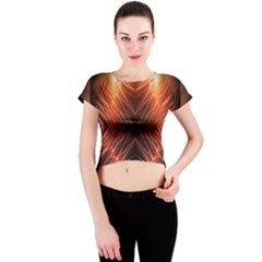 Img 20161211 112940 Crew Neck Crop Top by gunnsphotoartplus
