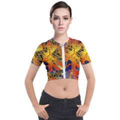 Board Circuits Control Center Trace Short Sleeve Cropped Jacket by Pakrebo