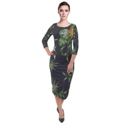 Pineapples Pattern Quarter Sleeve Midi Velour Bodycon Dress by Sobalvarro