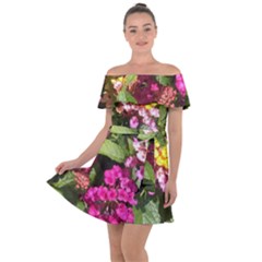 Summer Lantana W Bee Off Shoulder Velour Dress by Riverwoman