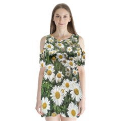 Columbus Commons Shasta Daisies Shoulder Cutout Velvet One Piece by Riverwoman
