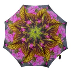 Coleus & Petunia Hook Handle Umbrellas (medium) by Riverwoman