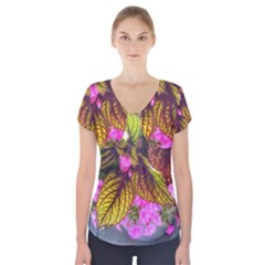 Coleus & Petunia Short Sleeve Front Detail Top by Riverwoman