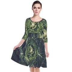Plant Leaf Flower Green Produce Vegetable Botany Flora Cabbage Macro Photography Flowering Plant Quarter Sleeve Waist Band Dress by Vaneshart