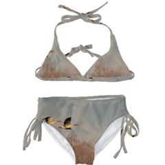 Goose 4002044 960 720 Kids  Classic Bikini Set by vintage2030
