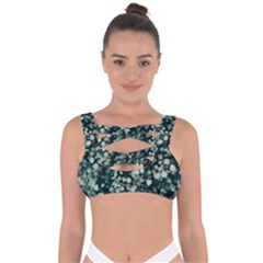 Plant 690078 960 720 Bandaged Up Bikini Top by vintage2030