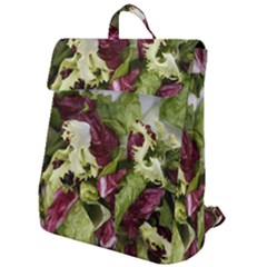 Salad Lettuce Vegetable Flap Top Backpack by Sapixe