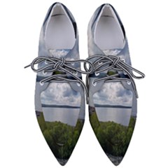 Lake Wallenpaupack Women s Pointed Oxford Shoes by canvasngiftshop