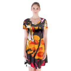 Consolation Before Battle 1 1 Short Sleeve V-neck Flare Dress by bestdesignintheworld