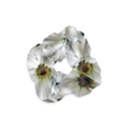 Daisies Velvet Scrunchie View1